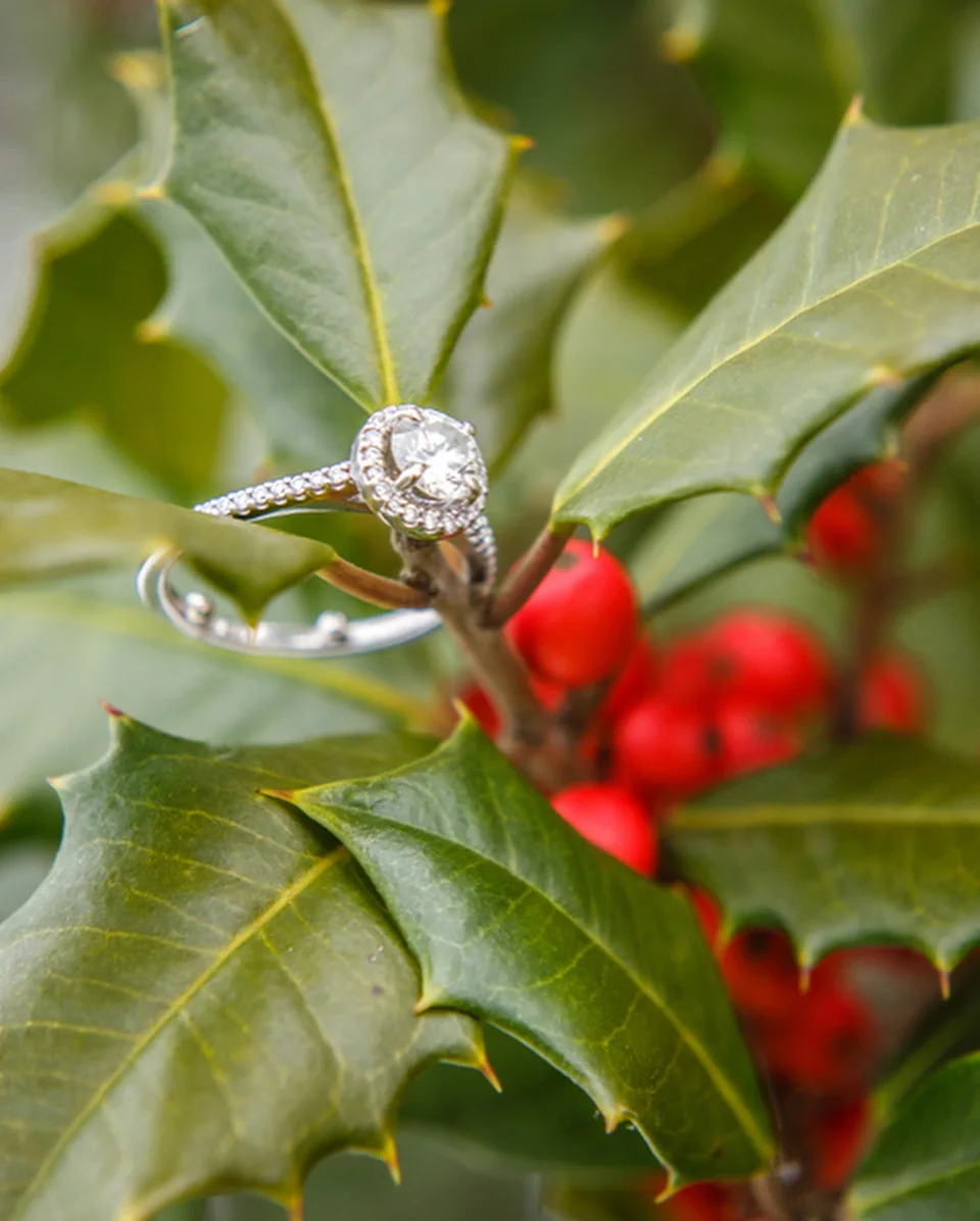 Engagement rings shared by Mitchell Jewelers