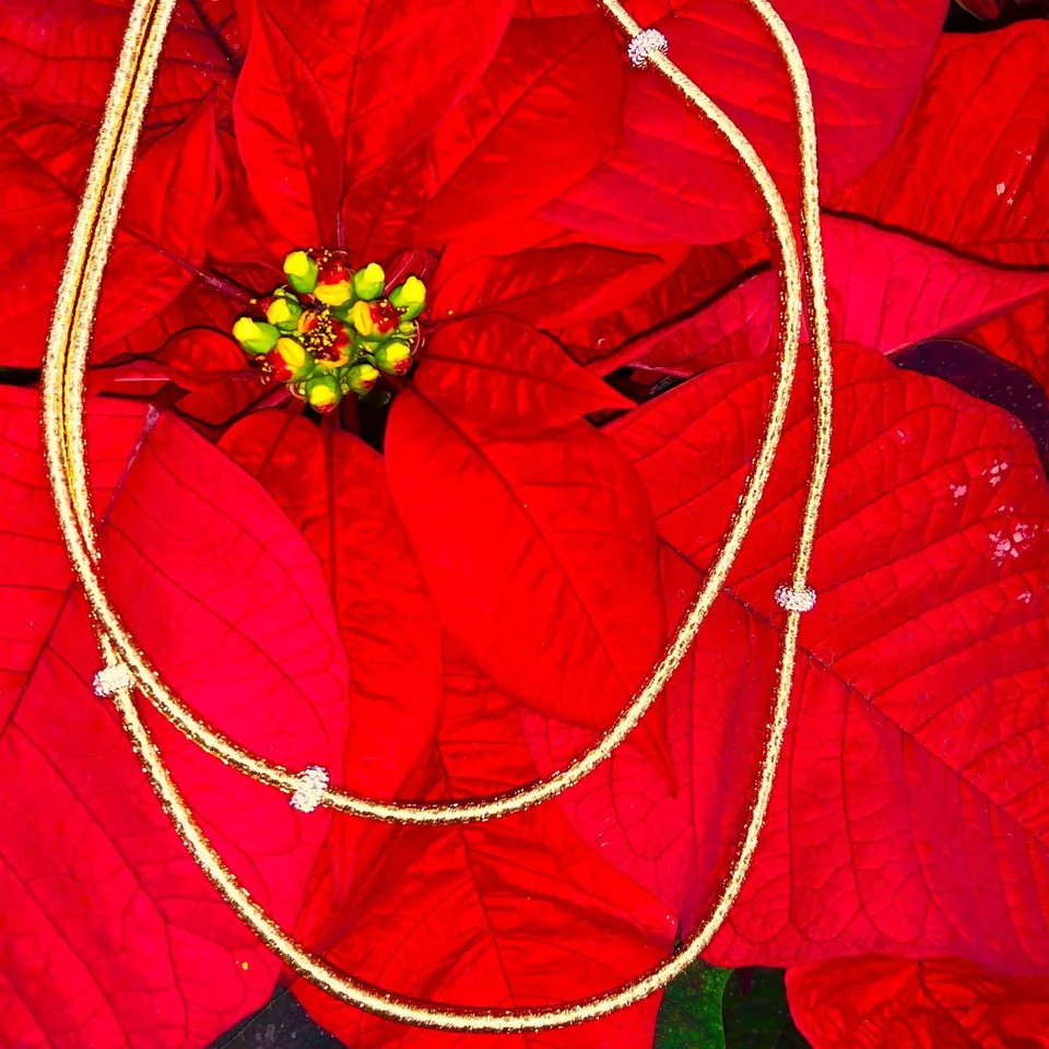 Gold and diamond necklace photographed on red poinsettia leaves